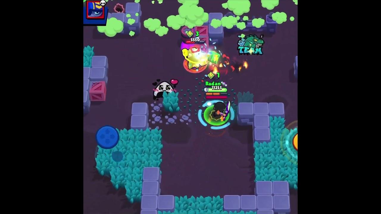 Best Bibi in Showdown 💘